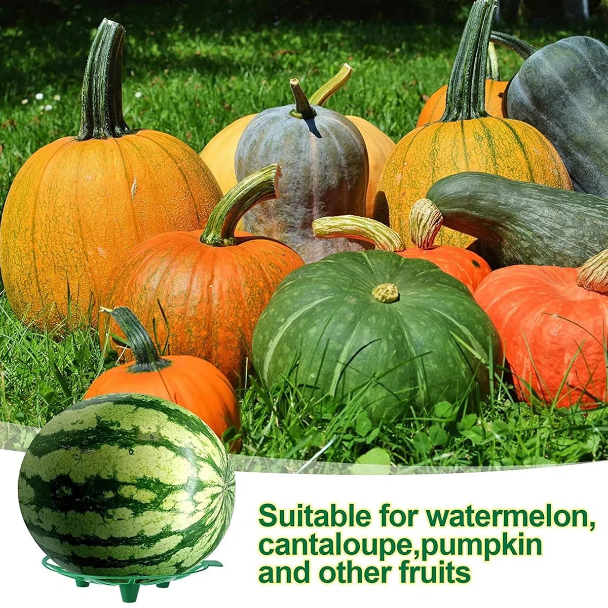 Focket 10 Paquets de Berceau pour Melon, Support pour Citrouille, Support pour Fraise, éviter la pourriture du Sol, Support pour Melon, Cage, Berceau, Treillis pour Melon d'eau, courge