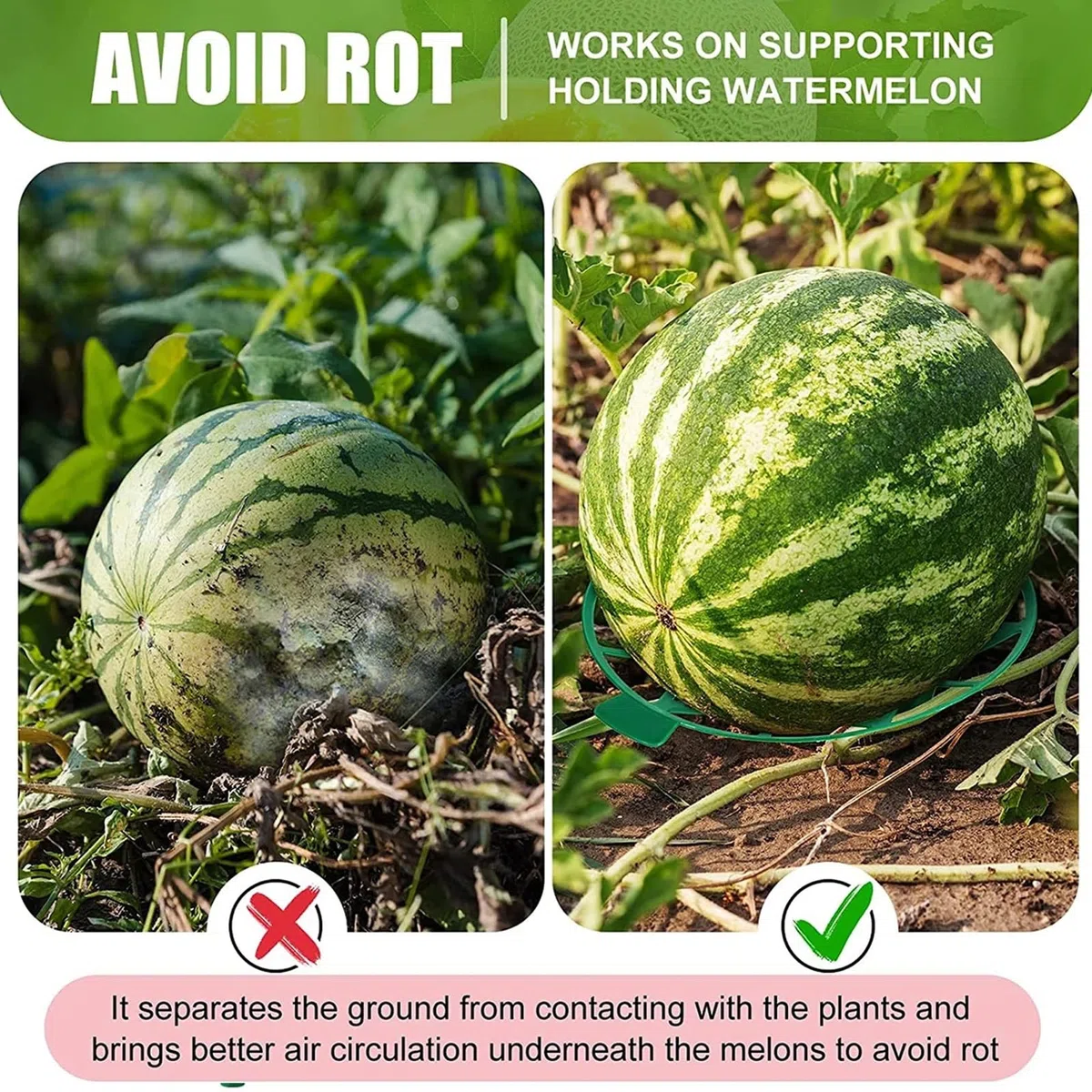 Focket 10 Paquets de Berceau pour Melon, Support pour Citrouille, Support pour Fraise, éviter la pourriture du Sol, Support pour Melon, Cage, Berceau, Treillis pour Melon d'eau, courge
